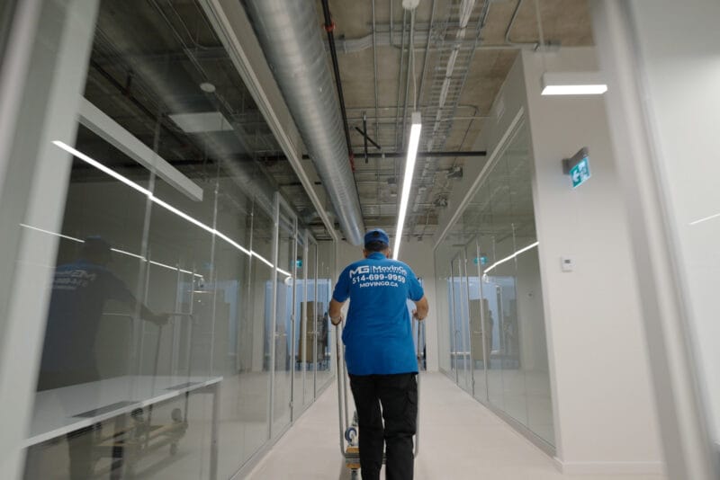 movingo office moving montreal 11 800x534 1